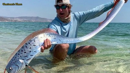 Oarfish: The Ocean’s Longest and Most Enigmatic Fish 🐟