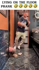 Foreigners Pranking on the Floor 😂 | Hilarious Viral Prank Compilation 2024