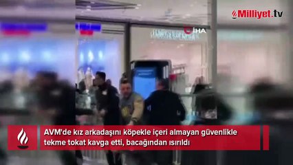 AVM'de köpek kavgası! Güvenlik görevlisi müşteriyi ısırdı