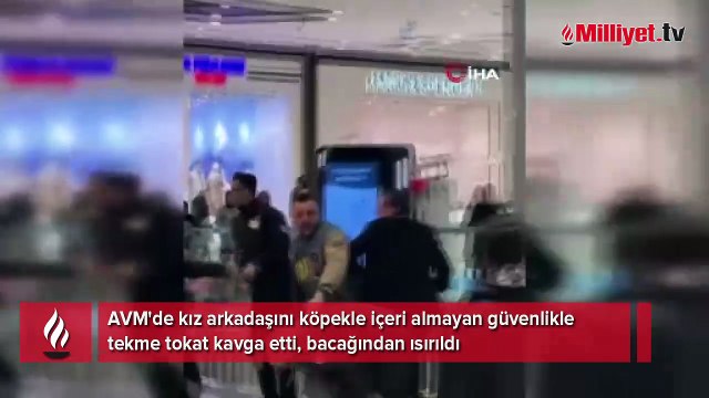 AVM'de köpek kavgası! Güvenlik görevlisi müşteriyi ısırdı