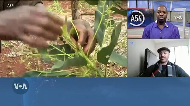 Farmers Pride International: Transforming Agriculture in Cameroon 🌾