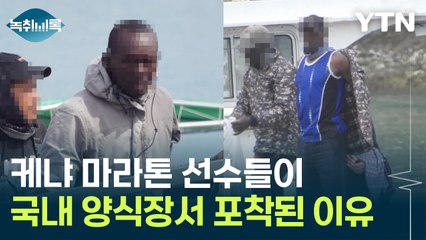 입국 후 사라진 케냐 마라톤 선수들...발견된 곳은 '양식장' [Y녹취록] / YTN