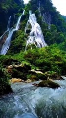 Surat Al-Ikhlas: Classic Film & TV Highlights