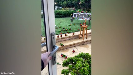 Try Not To Say WOW Challenge! Satisfying Video that Relaxes You Before Sleep #31