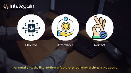 Freelancer vs Agency for Software Development