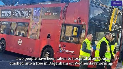 National World Top Stories Update 21 November, 2024