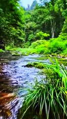 Beautiful place #naturalbeauty #naturalbeauty933 #natural #beauty