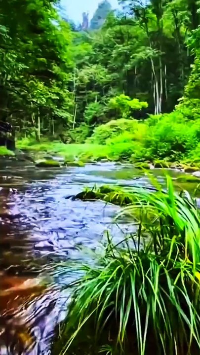 Beautiful place #naturalbeauty #naturalbeauty933 #natural #beauty