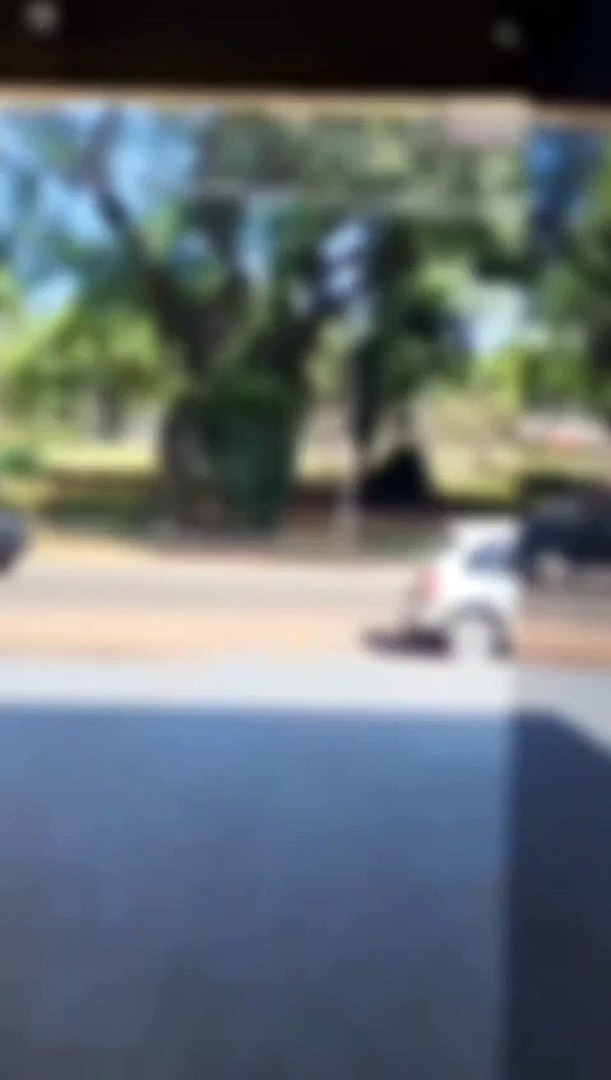 Casal é flagrado fazendo sexo em plena luz do dia em praça de Maringá; veja o vídeo