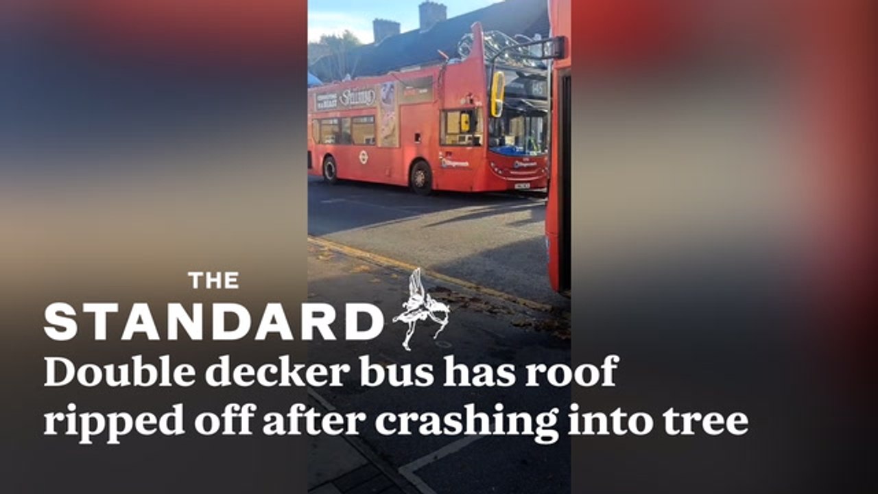 Double decker bus has roof torn off after crashing into tree - video ...
