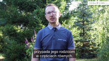 Wideo-poradnik nt. dziedziczenia dla mieszkańców Ostrołęki