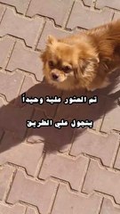 هذا ما حدث