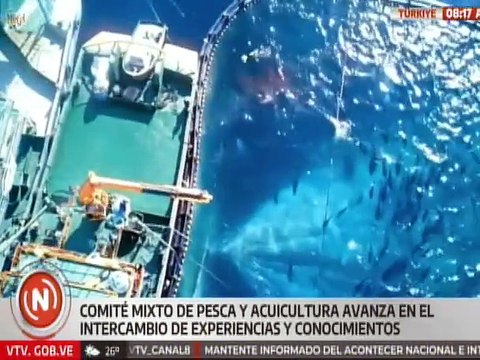 Avanza intercambio de conocimientos con el Comité Mixto de Pesca y Acuicultura Venezuela-Turkiye
