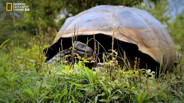 Documental Acceso 360 a los lugares patrimonio de la humanidad 7- Islas Galapagos
