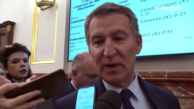 Feijóo critica que Sánchez persista en Ribera como comisaria