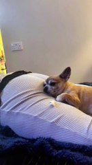 Expectation vs. Reality: Life in 5 Minutes🤣😂