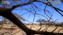 Documental Acceso 360 a los lugares patrimonio de la humanidad 11- Lago Turkana