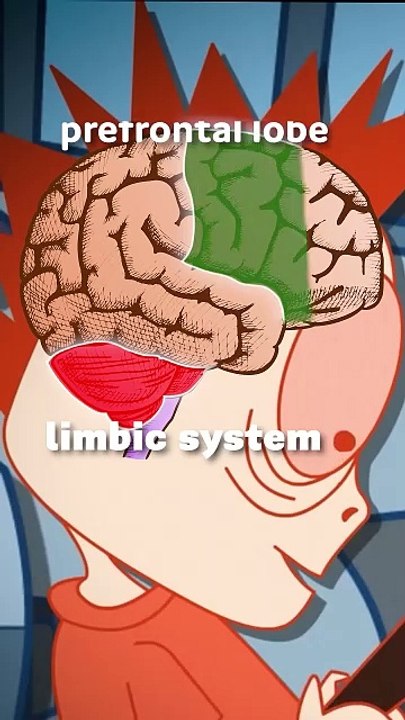 3 Mind Traps By Which Our Mind Fool Us _ #shorts - Stay4ever (1080p, h264, youtube)