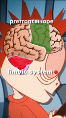 3 Mind Traps By Which Our Mind Fool Us _ #shorts - Stay4ever (1080p, h264, youtube)