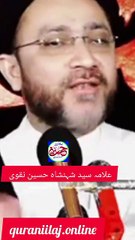 کسی سے نفرت نہ کریں /علامہ سید شہنشاہ نقوی