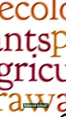 Boosting Your Immune System the Natural Way!