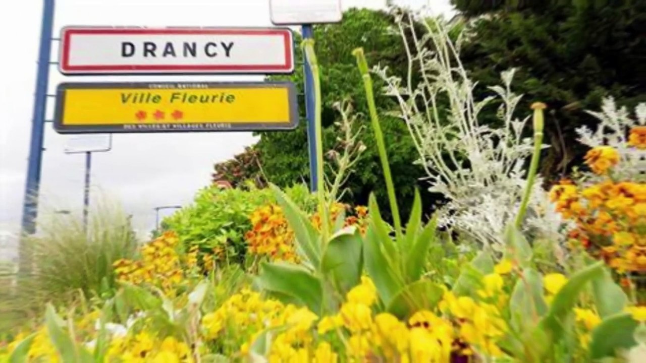 Les rats sont entrés dans Paris