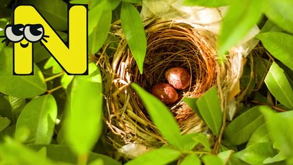 ABC Song for Kids _ Fun & Easy Alphabet Learning! - Learn the Alphabet with _HD