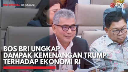 Bos BRI Ungkap Dampak Kemenangan Trump Terhadap Ekonomi RI