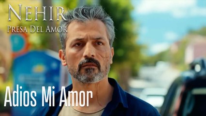 Adios Mi Amor