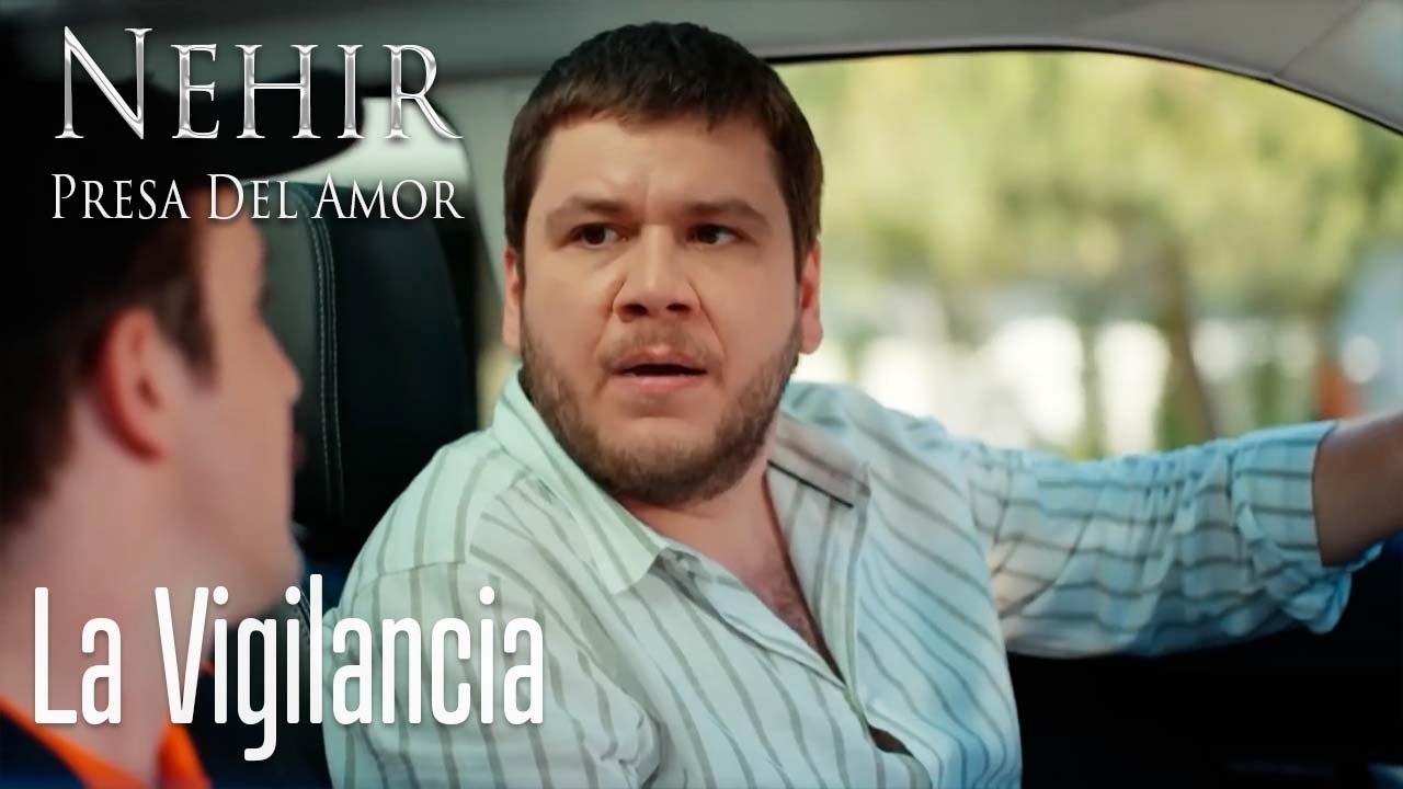 La Vigilancia