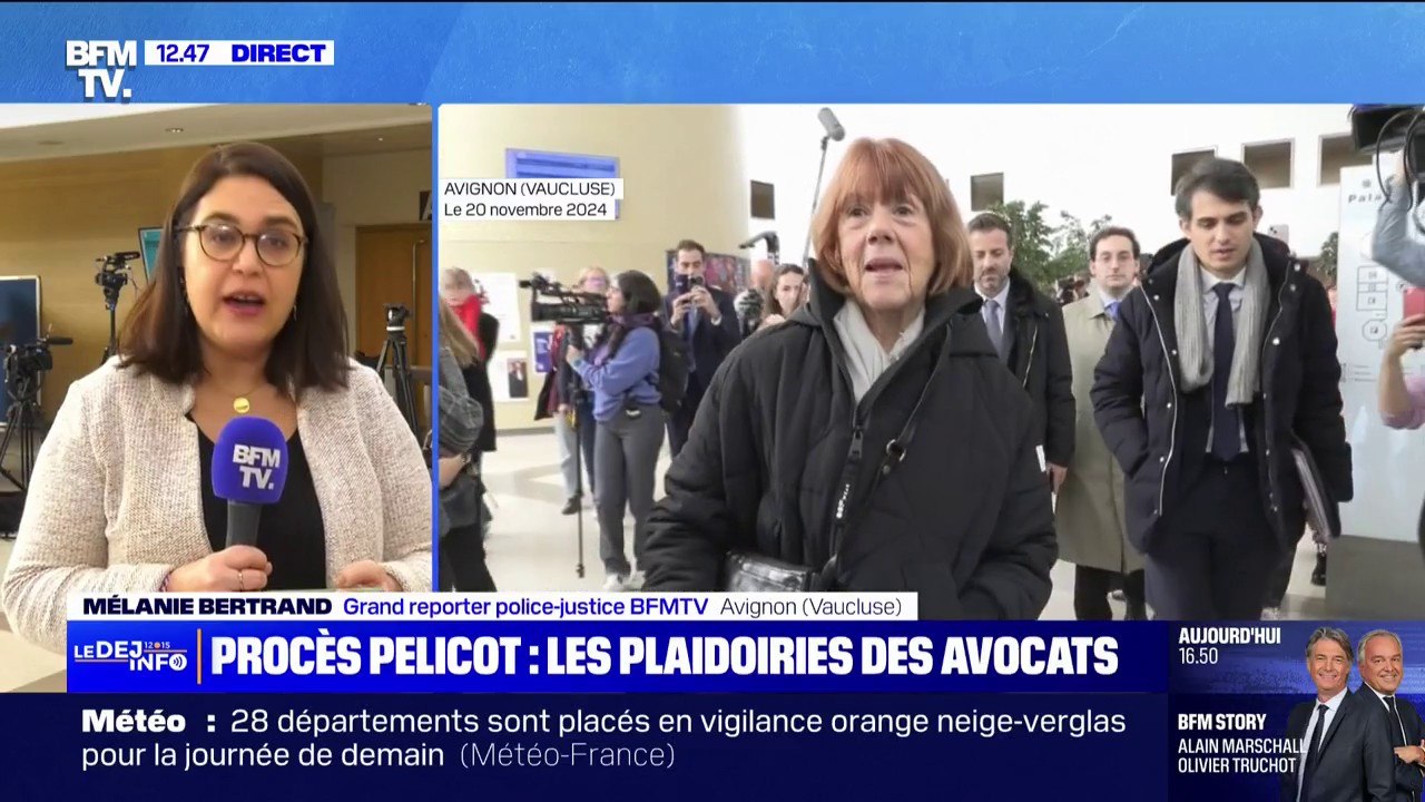 Viols de Mazan: Gisèle Pelicot "a choisi de transformer cette boue en matière noble", déclare son avocat lors de sa plaidoirie