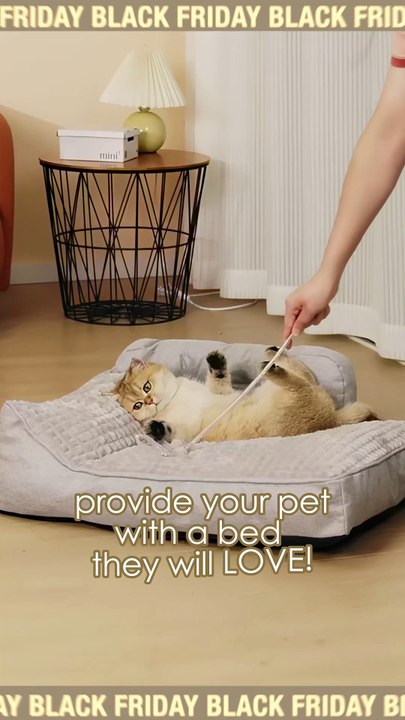 Cats and Small Dogs Cozy Sofa Bed