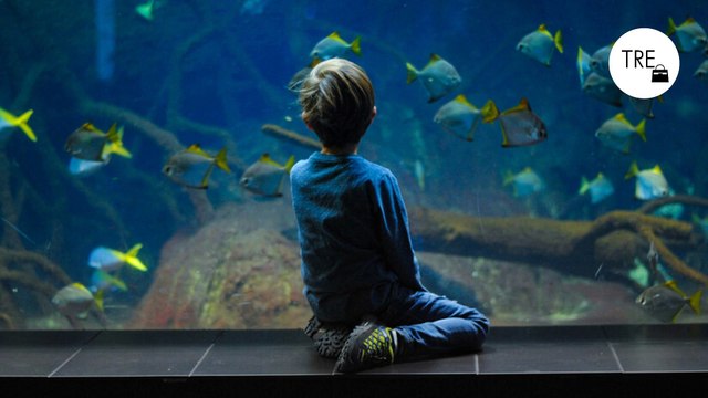 Los niños con altas capacidades intelectuales suelen tener esta pequeña peculiaridad que otros no tienen, según tres expertos