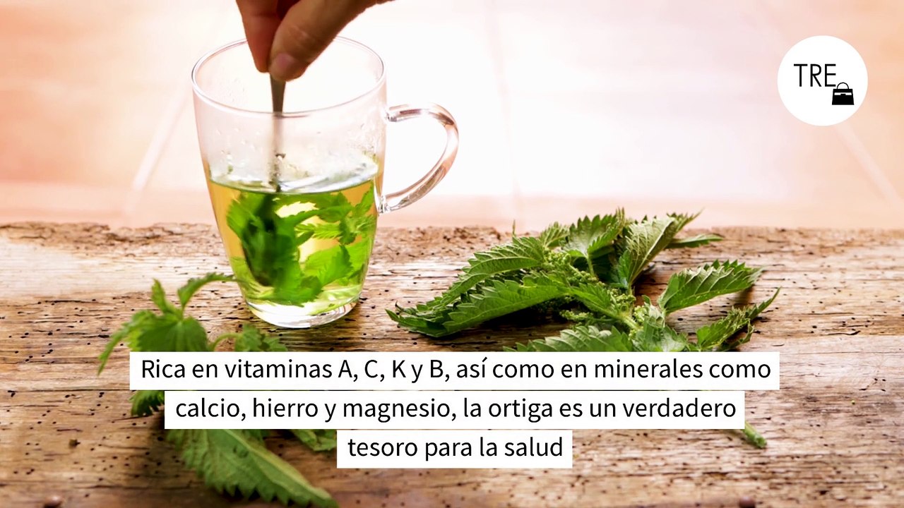 Todo el mundo la desprecia y si puede hasta la arranca pero esta planta es un tesoro desaprovechado en tu jardín