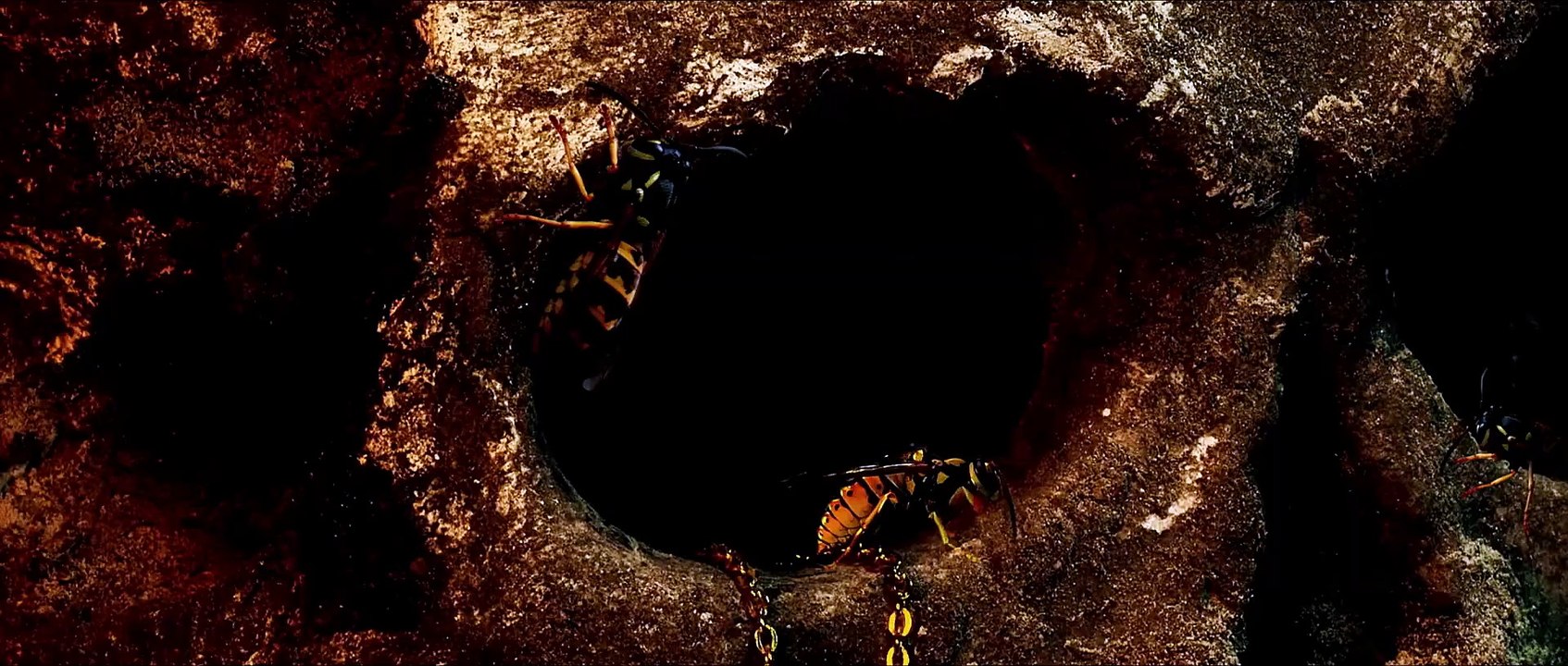 Yellowjackets - staffel 3 Teaser DF