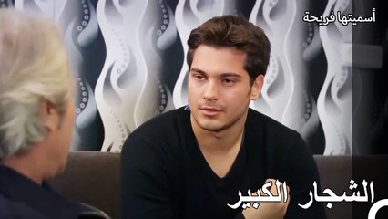 لقد سئمت من حديثك عن أشياء لا تعرفها! - أسميتها فريحة الحلقة 87