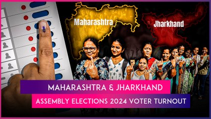 Assembly Elections 2024: 58.22% Voter Turnout Recorded Till 5 PM In Maharashtra, 67.59% In Jharkhand
