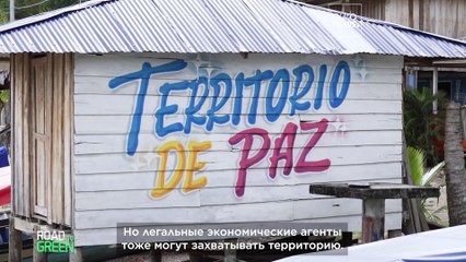 Заглушить оружие, а не птиц: миссия ЕС и Колумбии «В мире в природой»