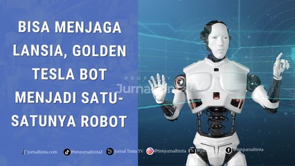 Satu-satunya! GOLD Tesla Bot Mampu Membantu Pekerjaan Rumah-Merawat Lansia