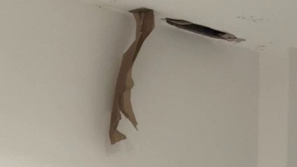 Rodents chew through ceiling above woman's bed in middle of the night