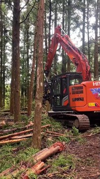 Accélérer le développement de la filière bois : une nouvelle tête d’abattage flambant-neuve