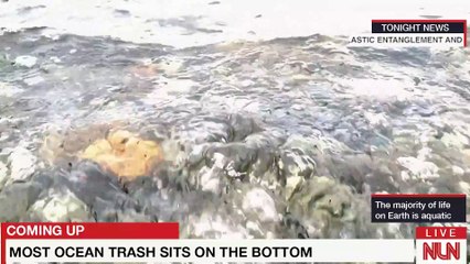 OCEAN NEWS Neil Lang Andrea Bego Ghina