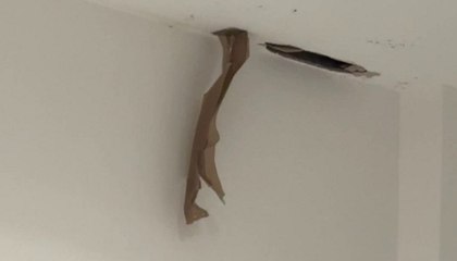 Rodents chew through woman’s ceiling above her bed during night
