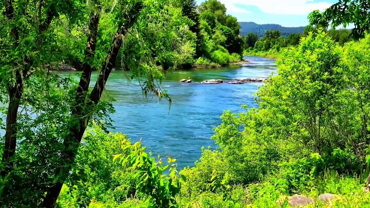 Âm nhạc thư giãn trị liệu với cảnh đẹp nhân gian - Ngọt ngào da diết những bản nhạc không lời nhạc cụ dân tộc