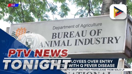 D.A. probing BAI employees over entry of goats infected with Q fever disease;