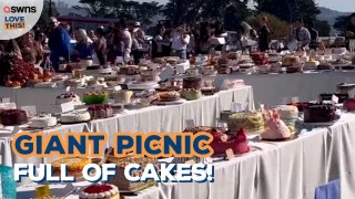 Check out this giant cake picnic! 🎂