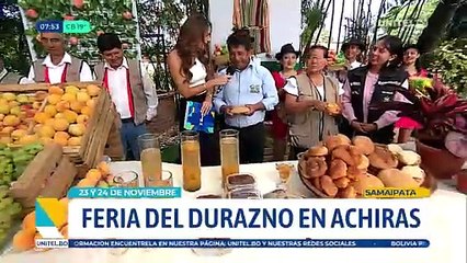 Feria del Duraznos en Achiras este 23 y 24 de noviembre