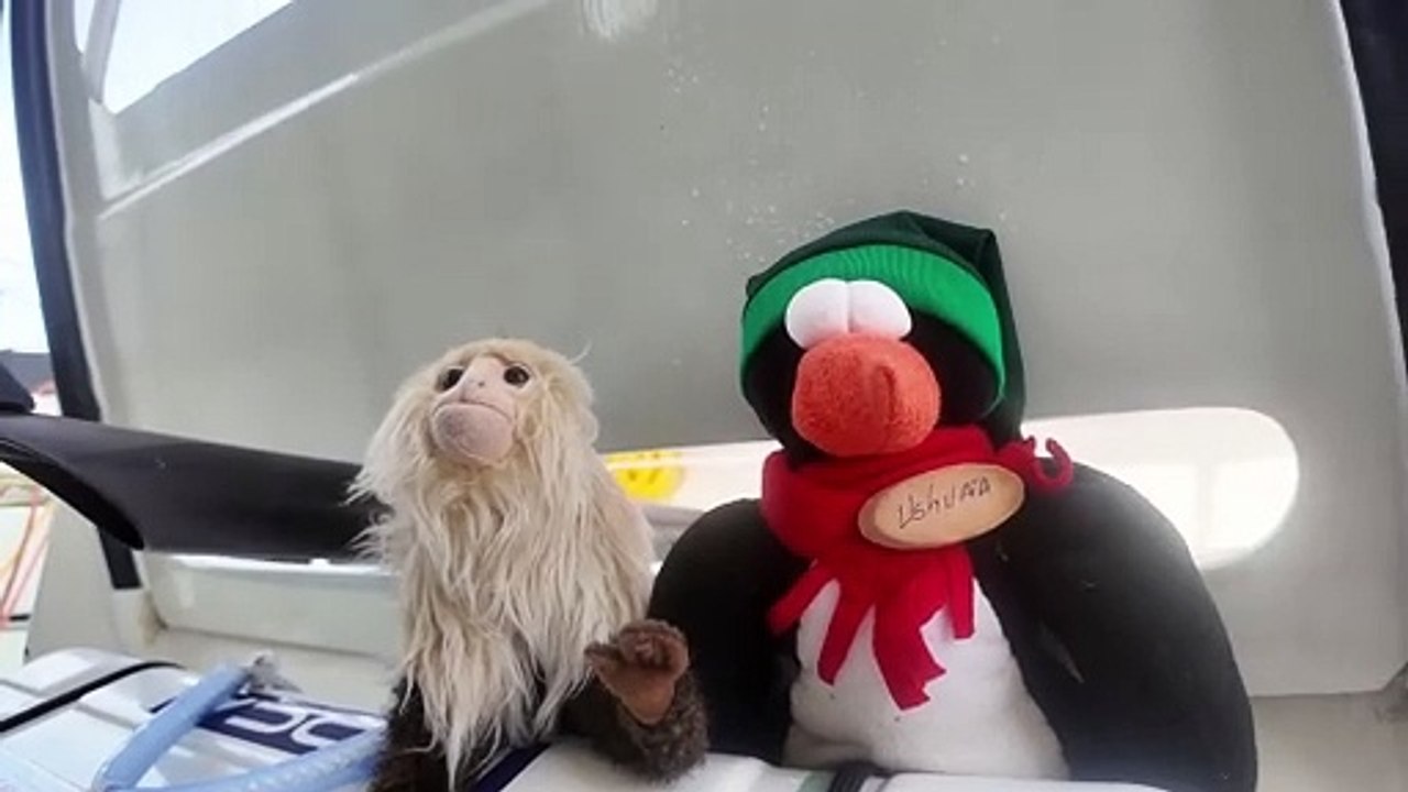 Vendée Globe 2024 - Les compagnons de voyage de Jean Le Cam / TOUT COMMENCE EN FINISTERE - ARMOR-LUX