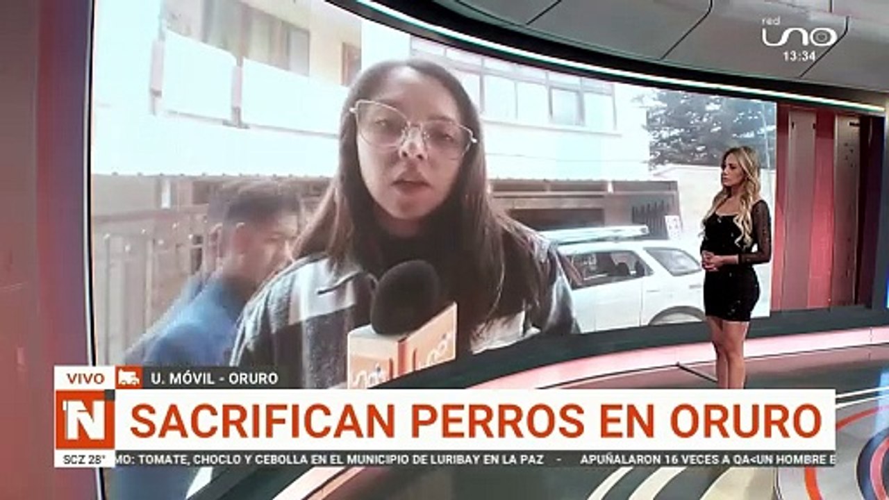 Perros disecados