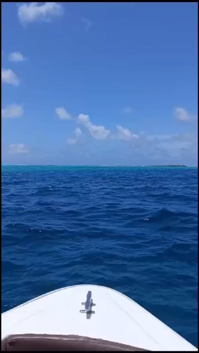 LE PLUS BEAU moment d’une sortie bateau à l’île Maurice